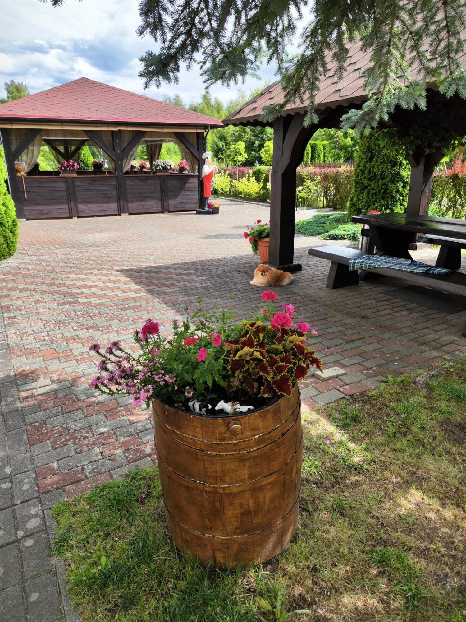 Michalek W Rowach Bed & Breakfast Rowy  Eksteriør bilde